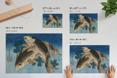 Dekorativní nástěnný plakát s motivem kapra v mořských řasách