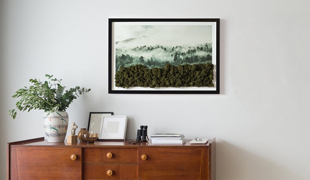 Obrazy z mechového mechu