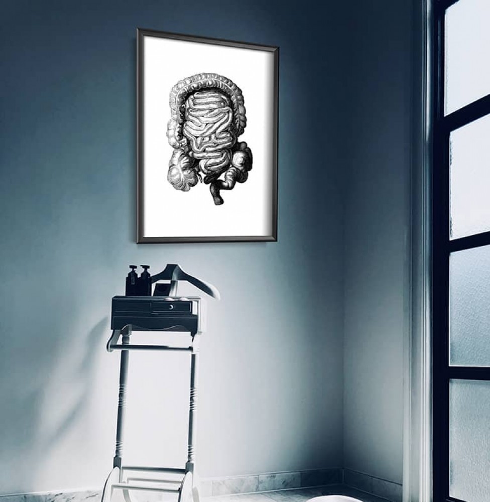 Anatomické plakáty