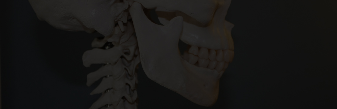 Anatomické plakáty 